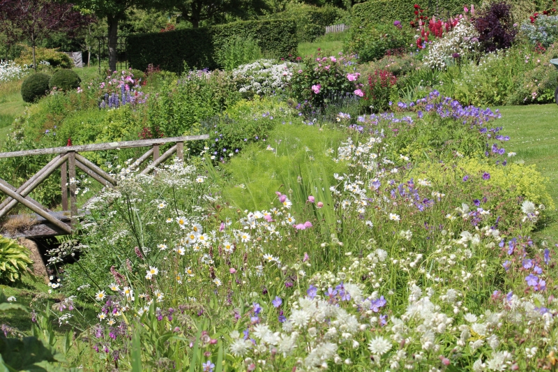 Rampisham Gardens Dorchester NGS Gardens